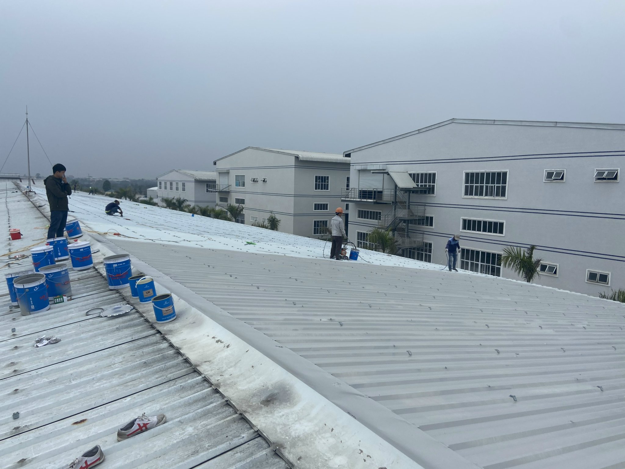 Dự án thi công sơn Epoxy và sửa mái tôn