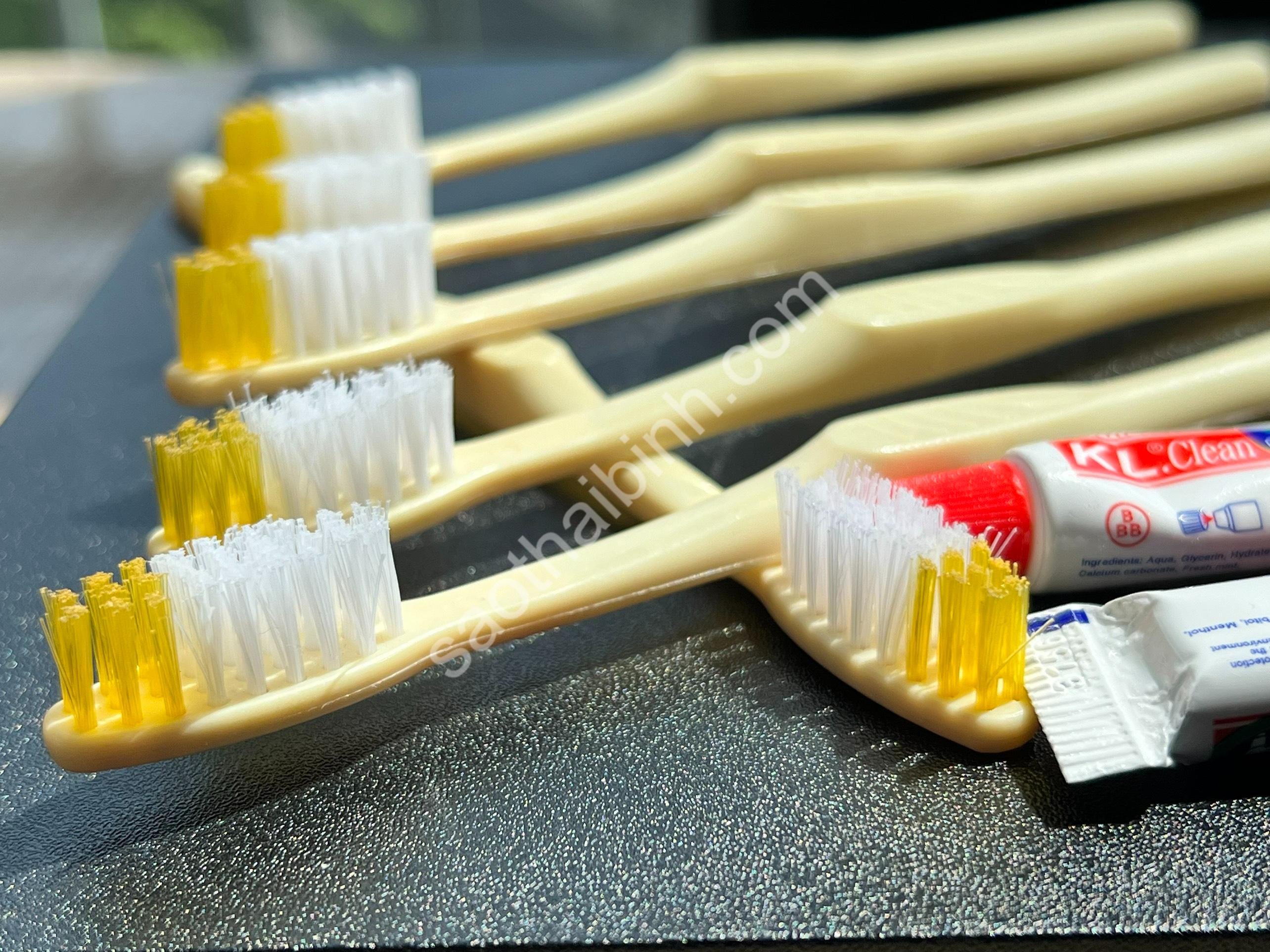 Những nơi nào nên sử dụng bàn chải giá rẻ?