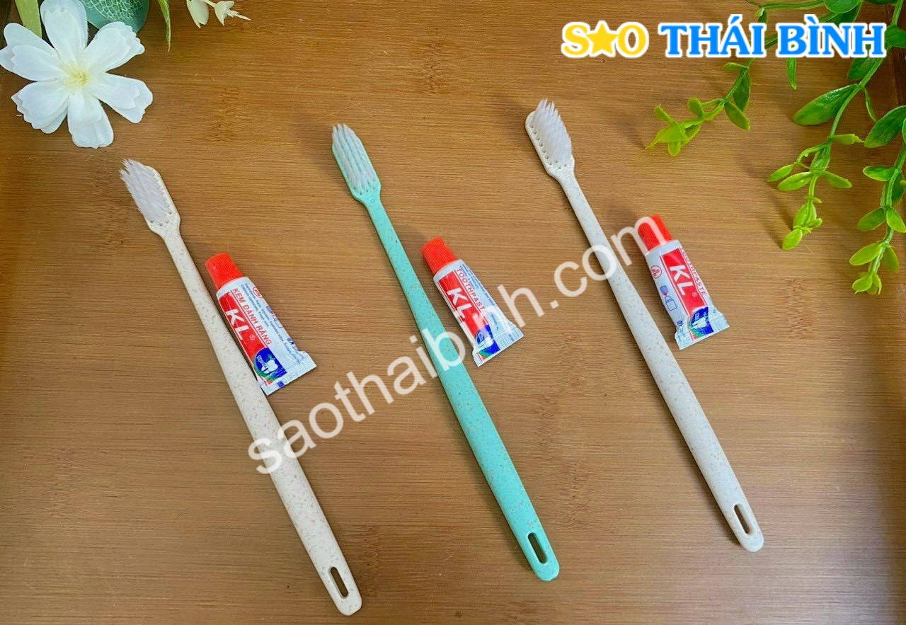 Bàn chải thân thiện giá rẻ khách sạn