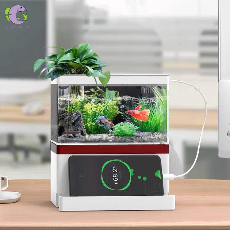 Bể Cá Mini Fish Tank - 1