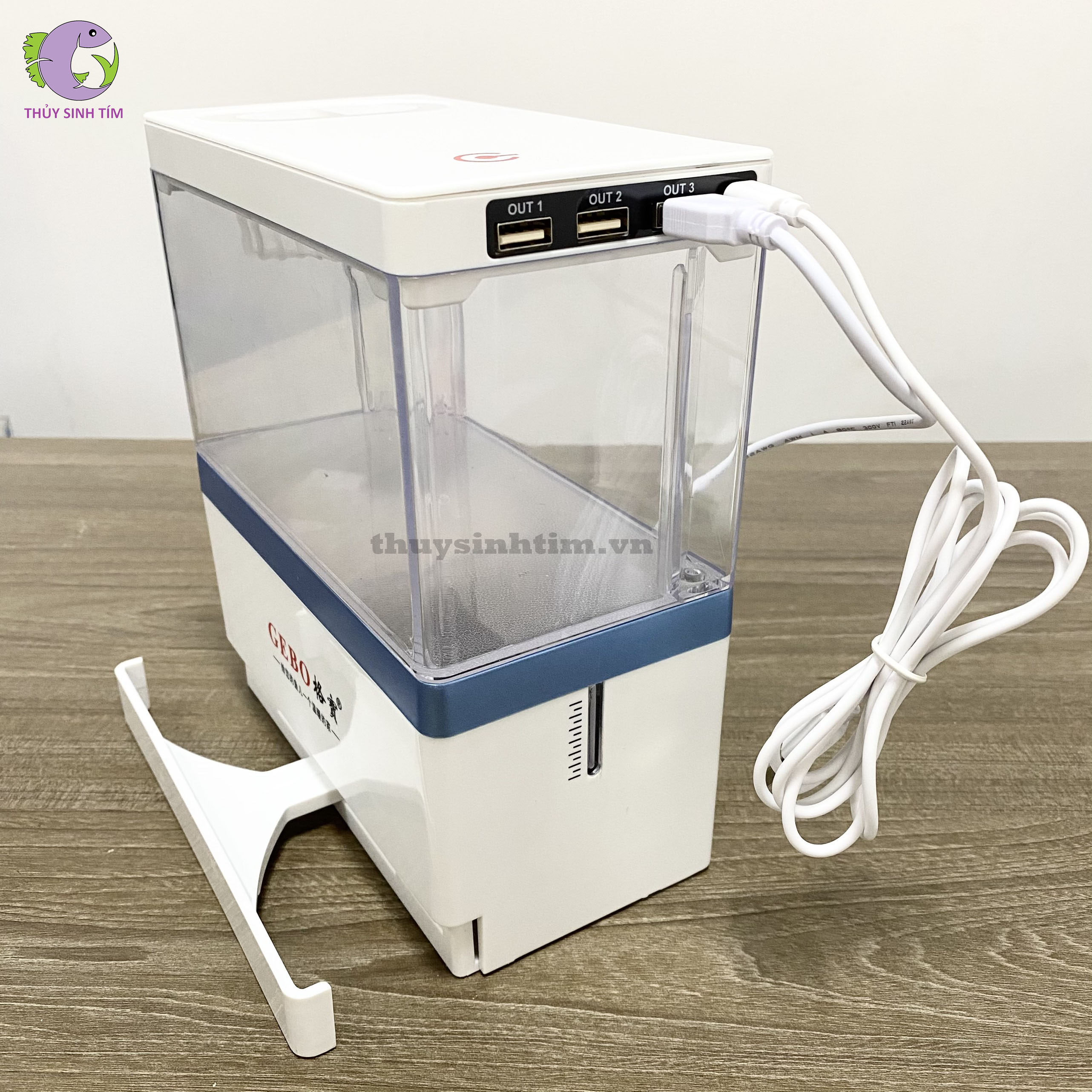 bể cá mini fish tank - 5