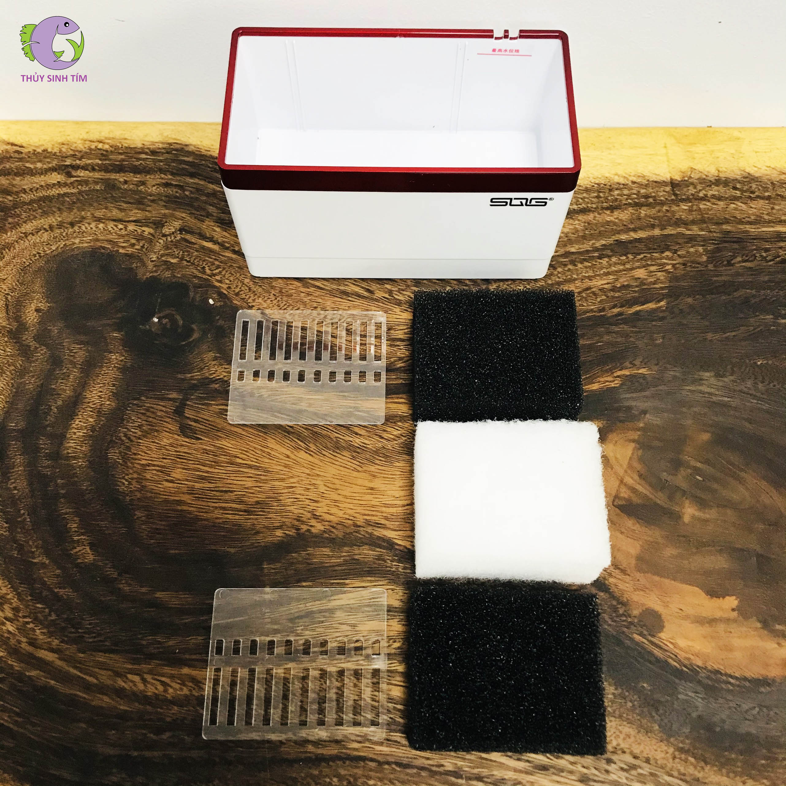 Bể cá mini fish tank SQG - 5