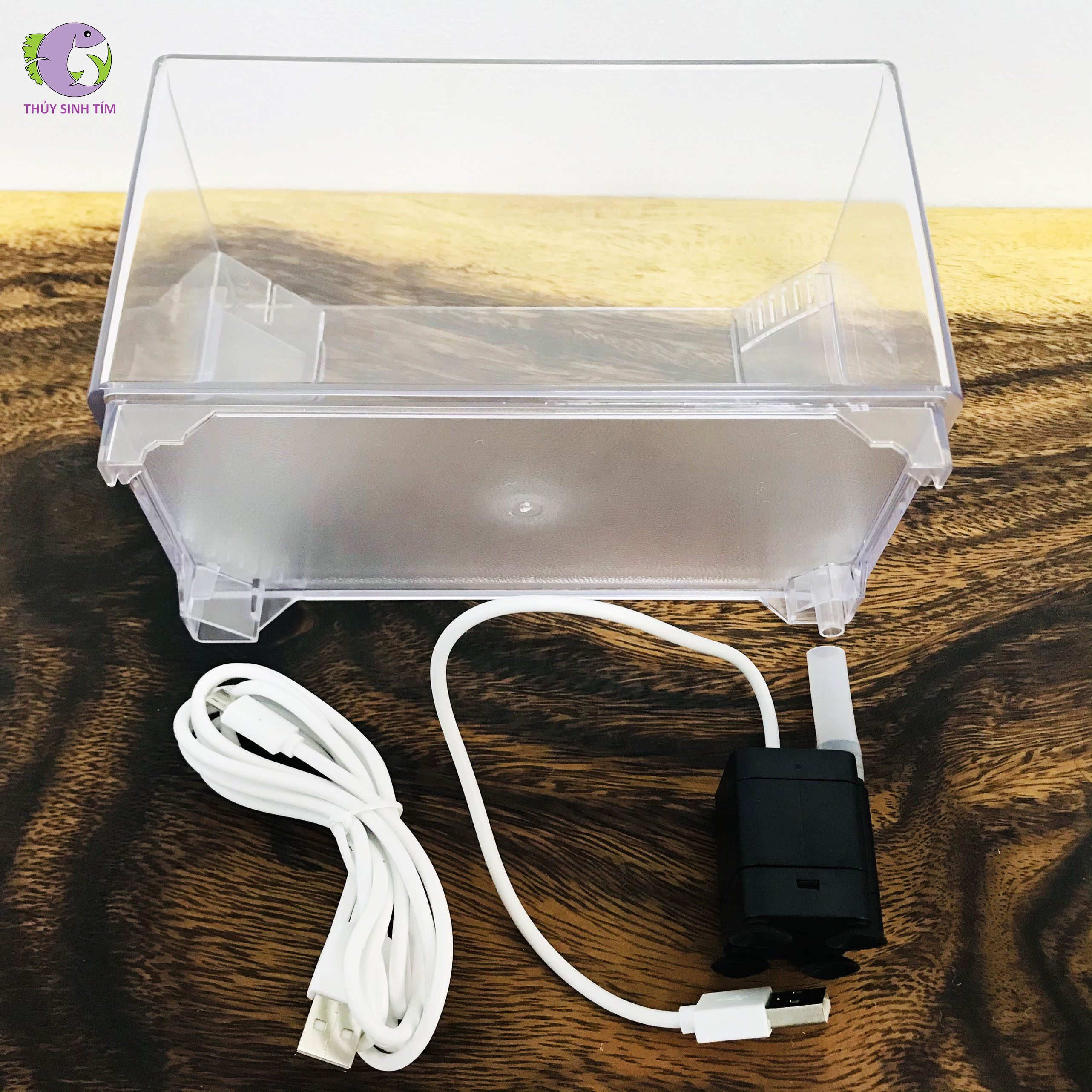 bể cá mini fish tank sqg - 8