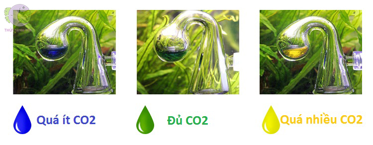bộ test co2 dung dịch - 4