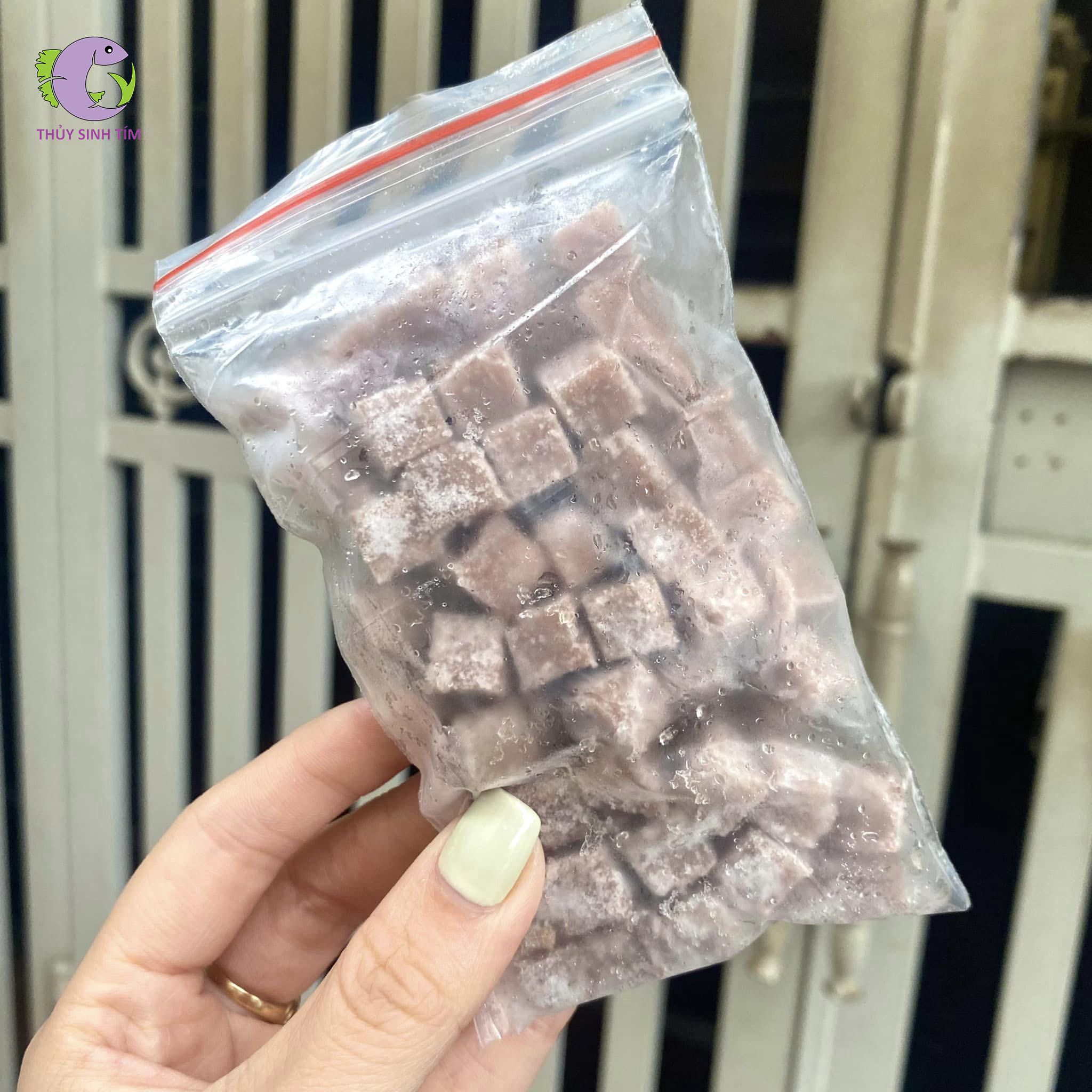 Bo Bo Đông Lạnh-1