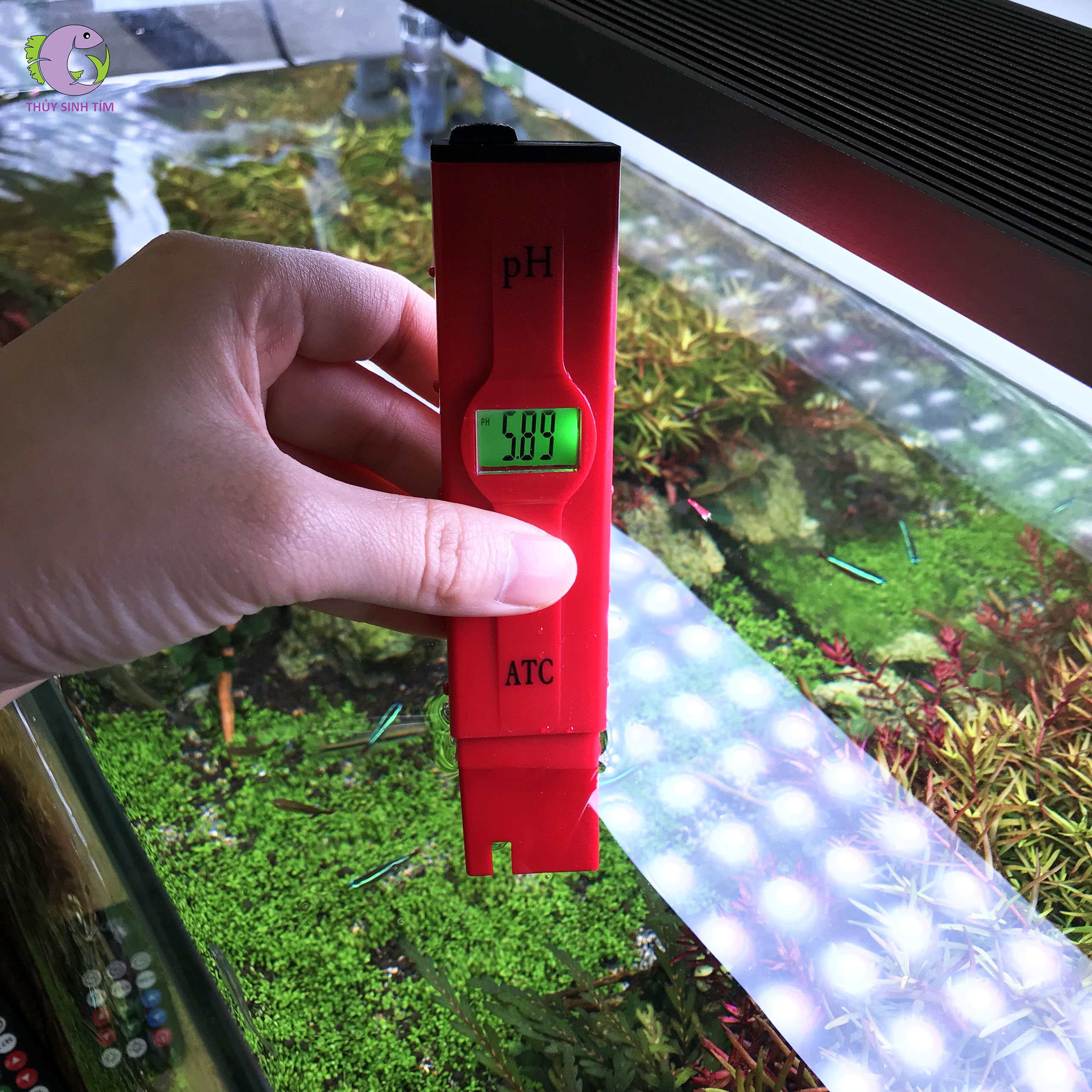 bút đo pH cao cấp atc 2011 - 2