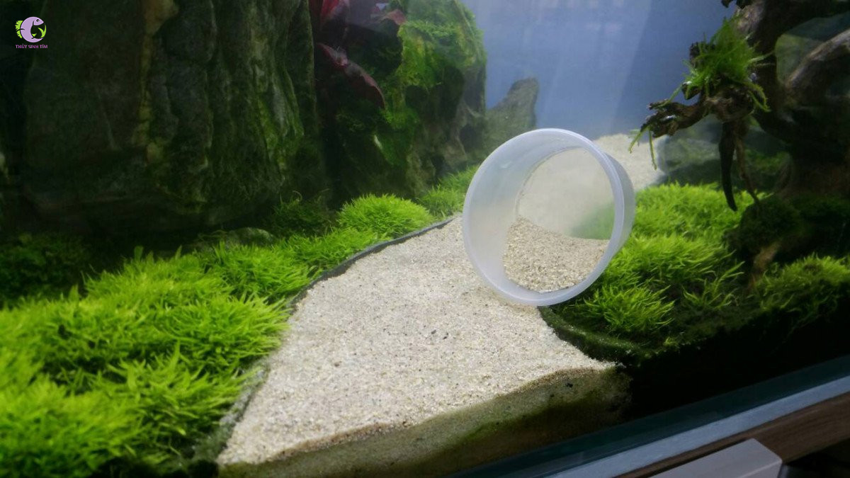 Cát ADA Plata Sand 8kg-1