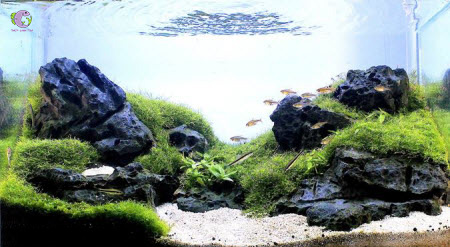 Cát ADA Plata Sand 8kg-2