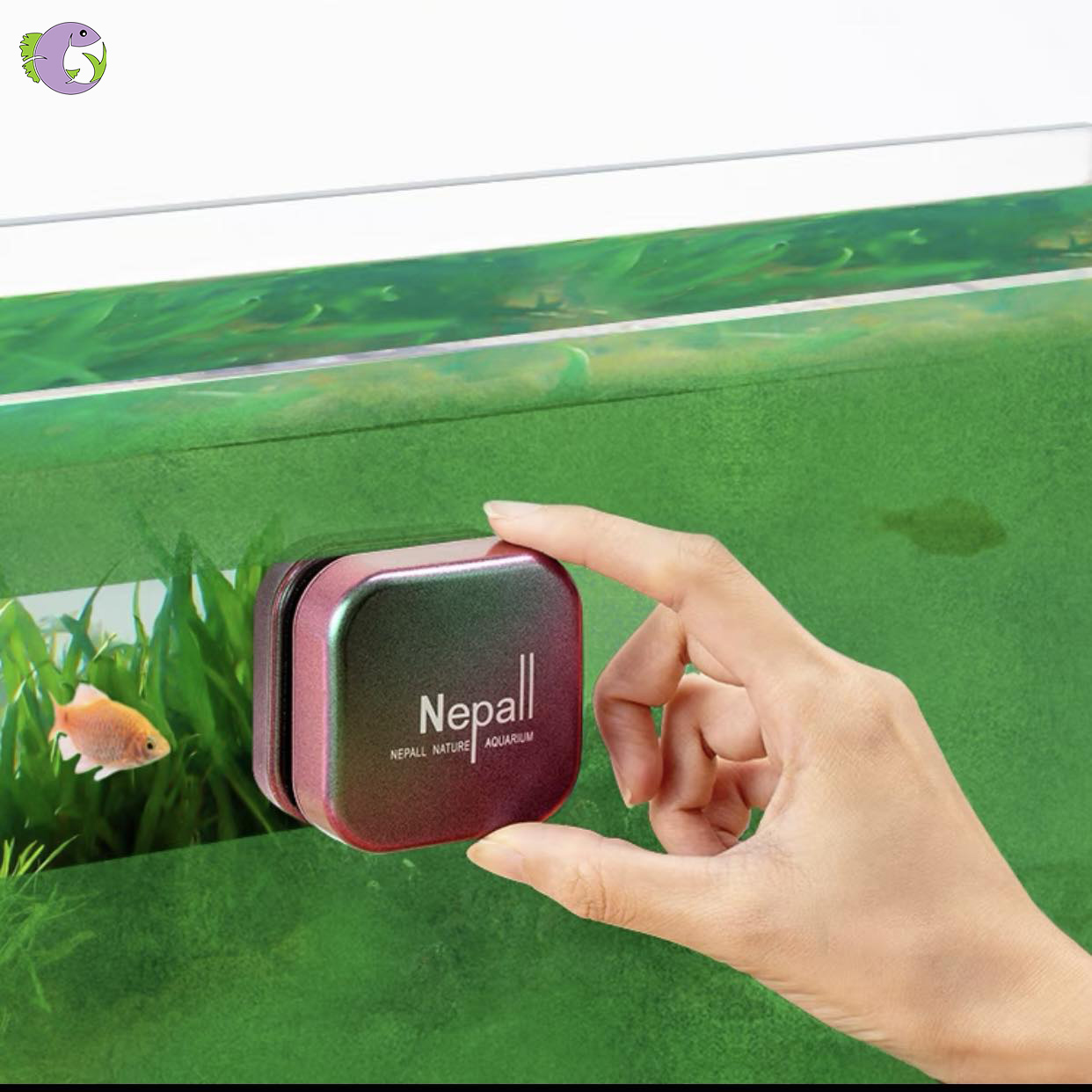 Cọ Bể Nam Châm Mini Nepall - 3