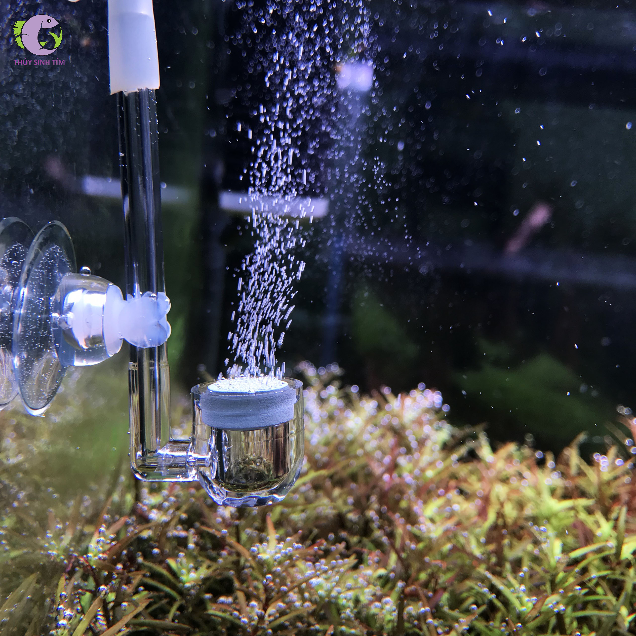 cốc sủi co2 mini diffuser - 1