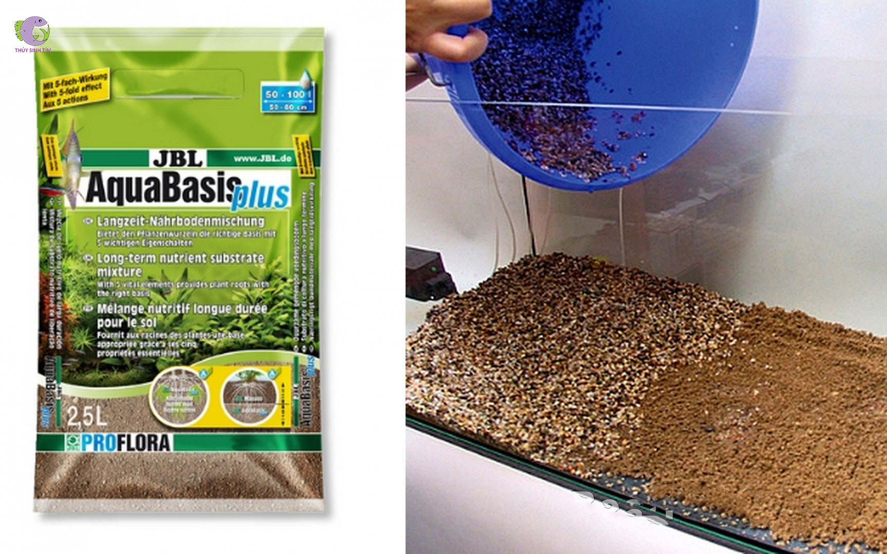 Cốt Nền JBL Aquabasic Plus-2