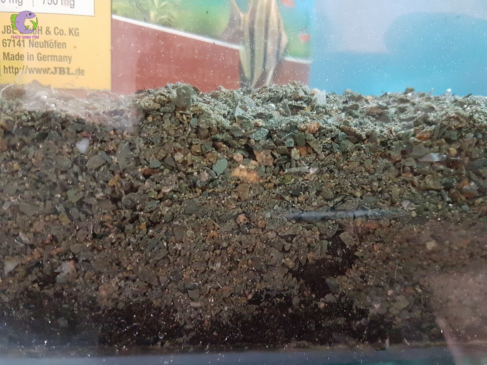 Cốt Nền Thủy Sinh JBL FLORAPOL 350g-2