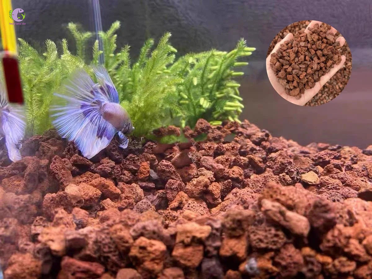 Đá nham thạch đỏ to (1kg)-2