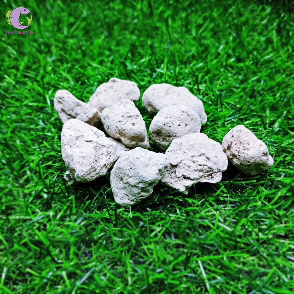 đá nham thạch trắng size m - 1