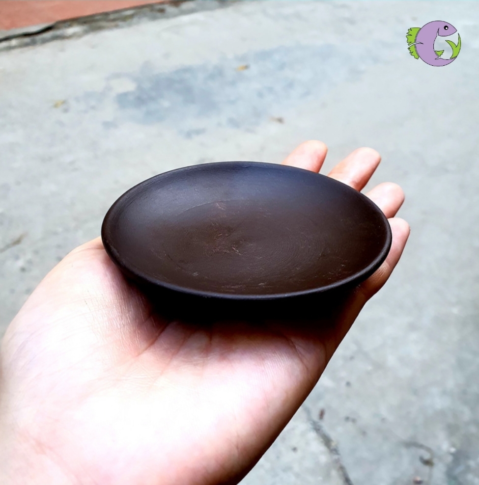 Đĩa gốm thức ăn cho tép 2