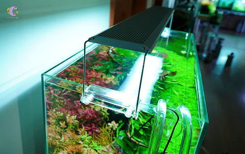 Đèn Chihiros 30cm ( A301)-3