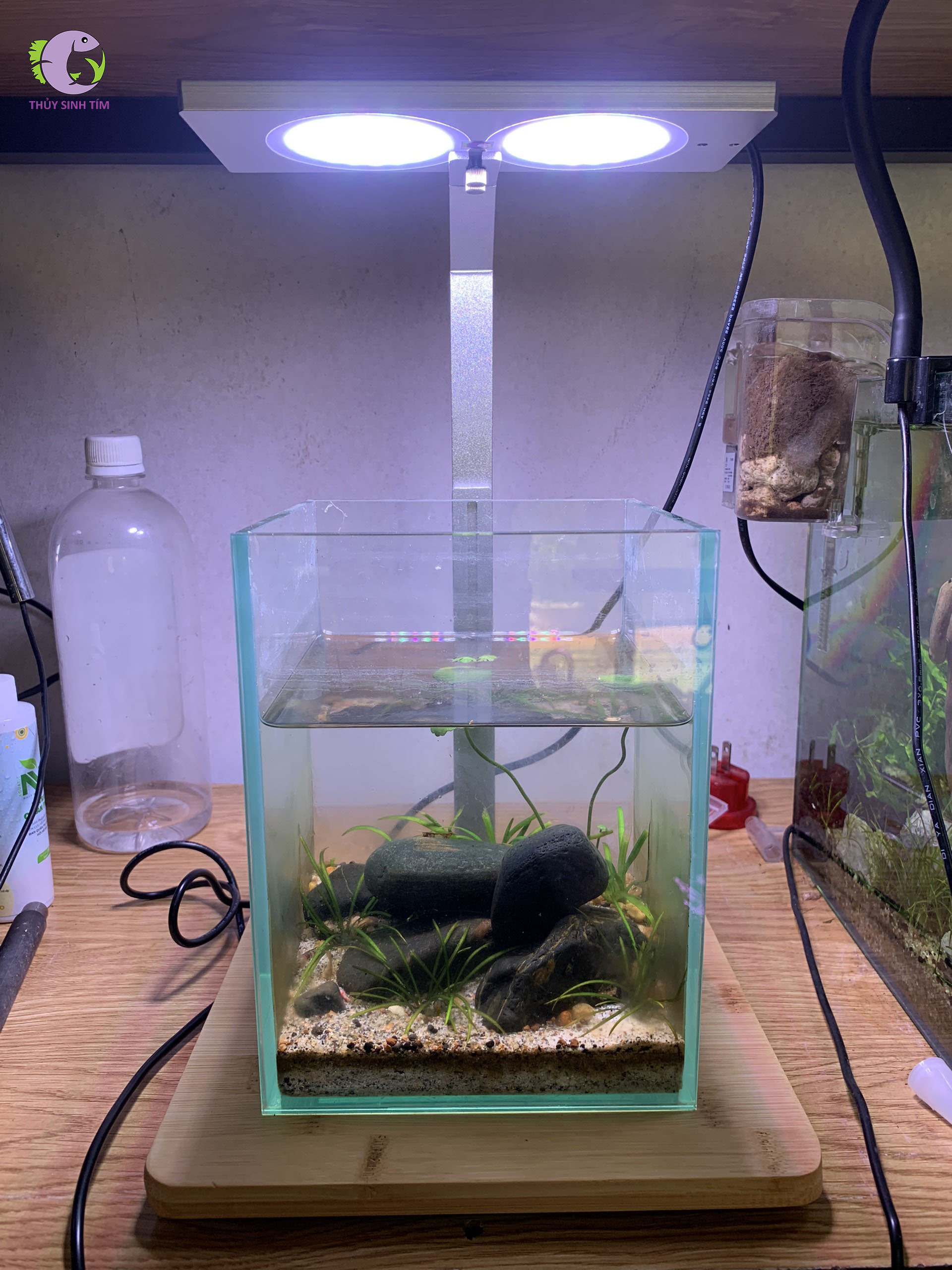 Đèn Coco Đế Gỗ-2