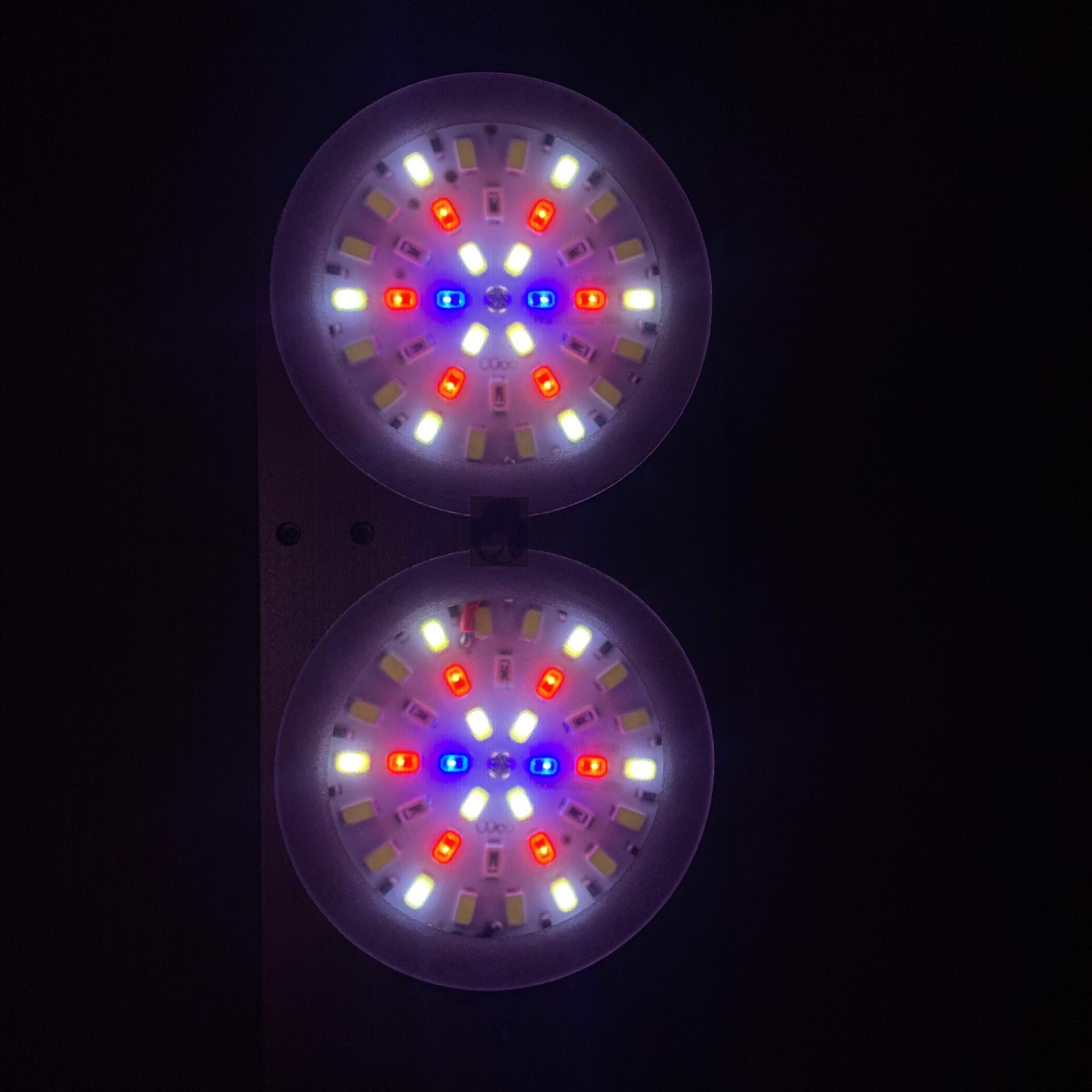 Đèn Coco Đế Gỗ-3