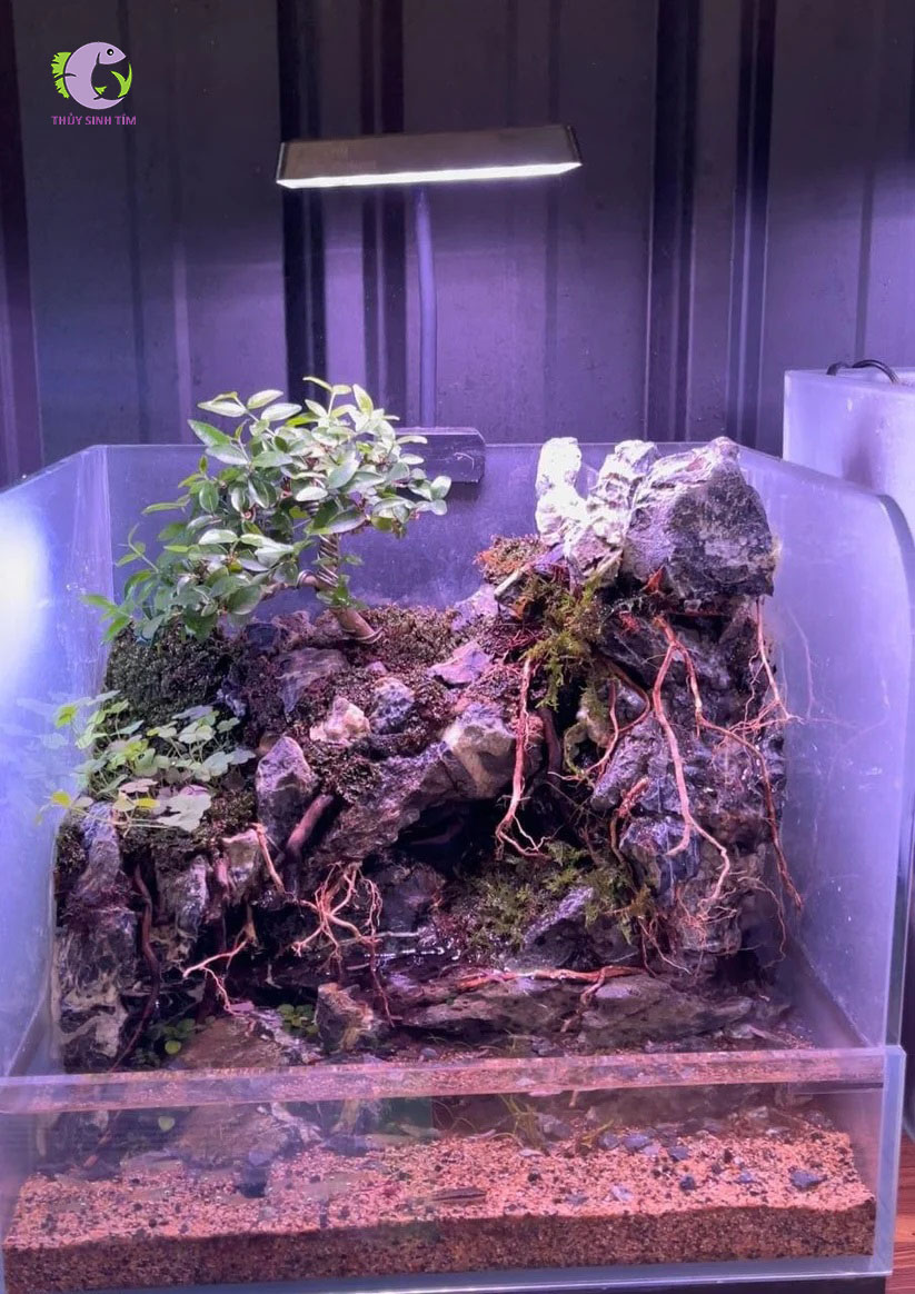 Đèn Flat Nano S3 Plus-2