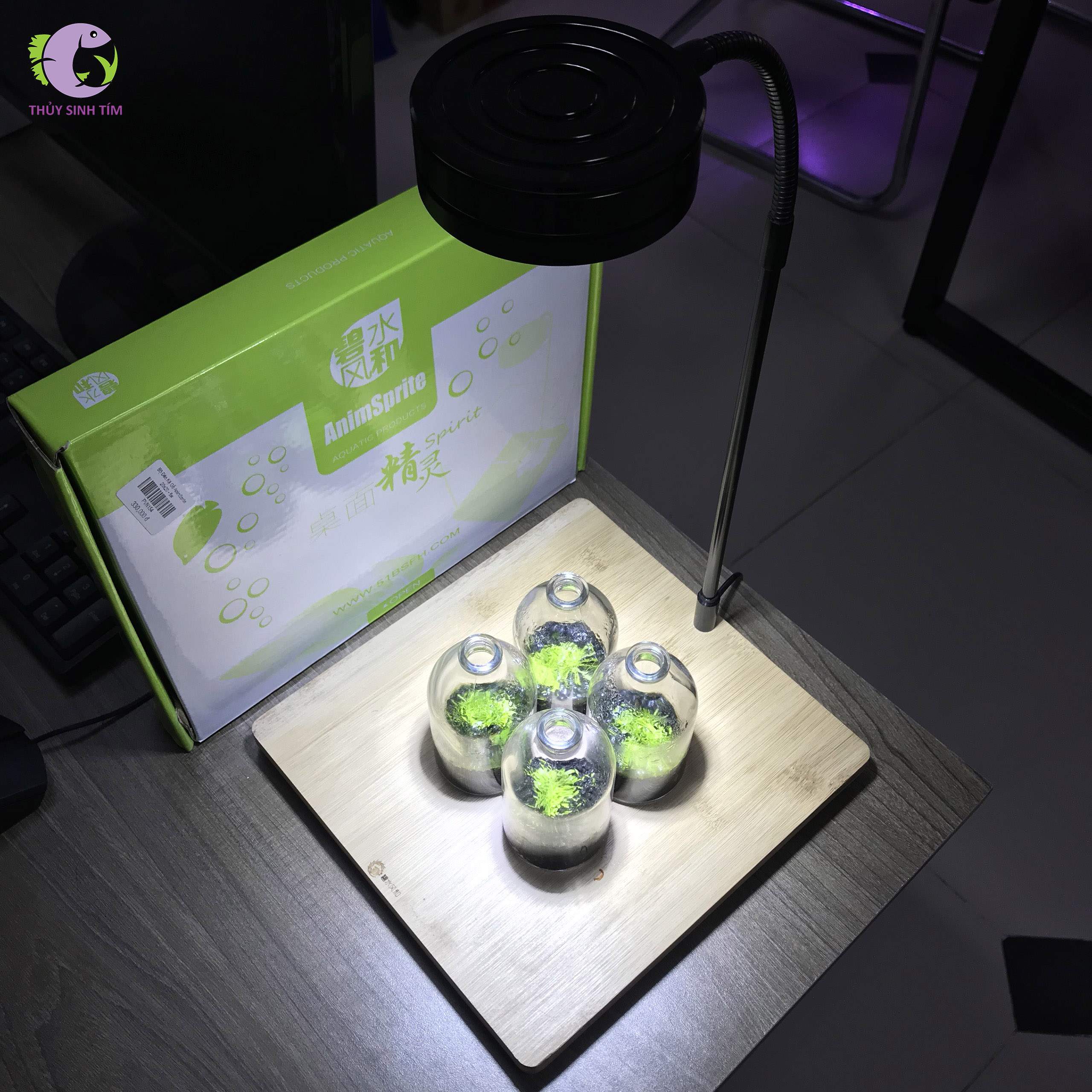 bộ đèn kệ gỗ anim sprite - 1