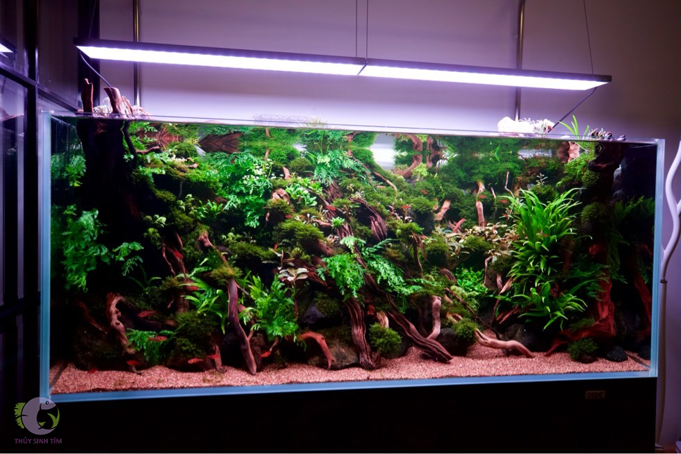 đèn led cao cấp nala rgb e300 kèm remote - 2