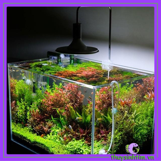 Đèn LED Đĩa XINMA 20W - Mix Màu - 1