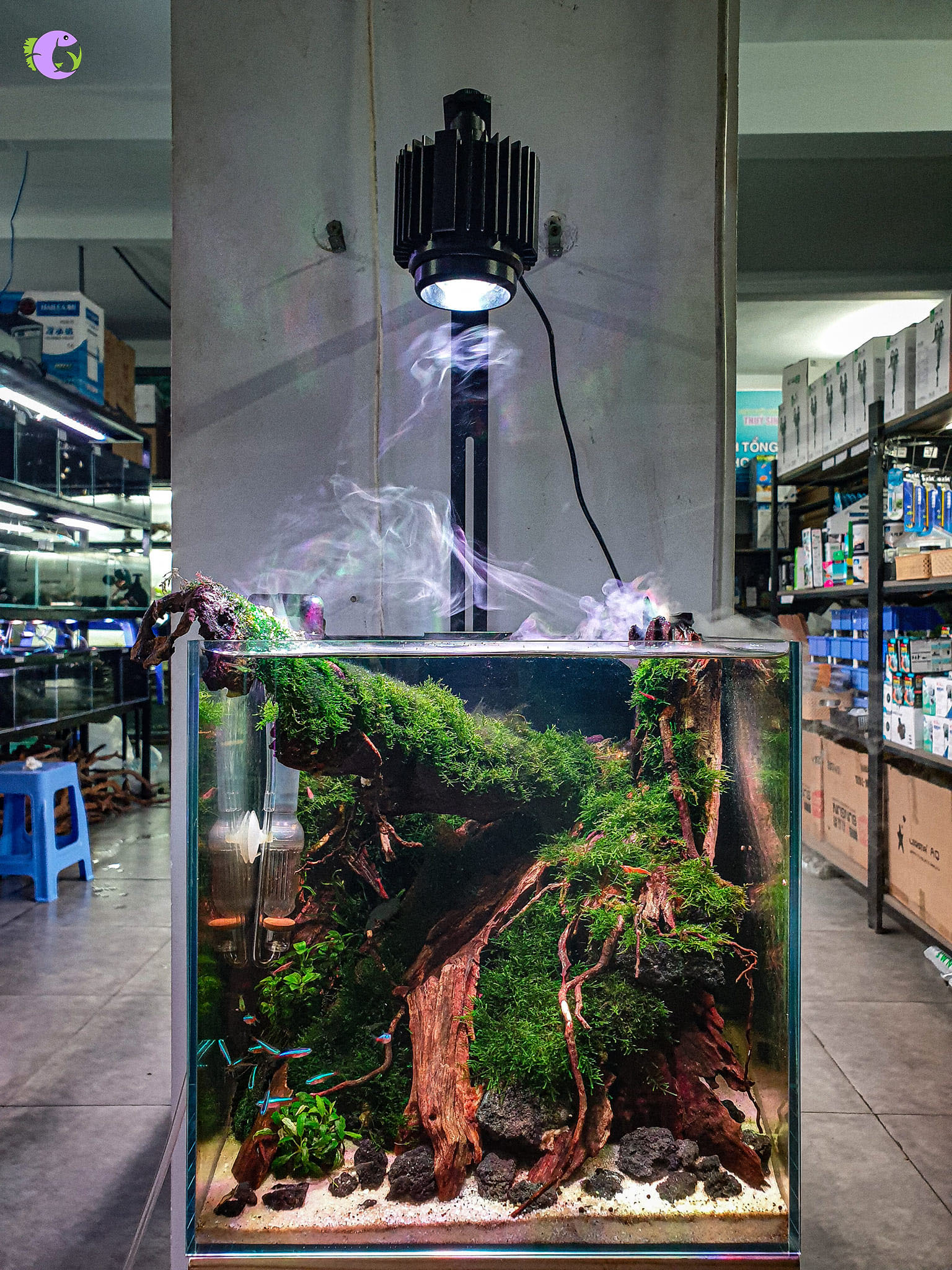 Đèn LED Kaokui KK30 Pro - 1