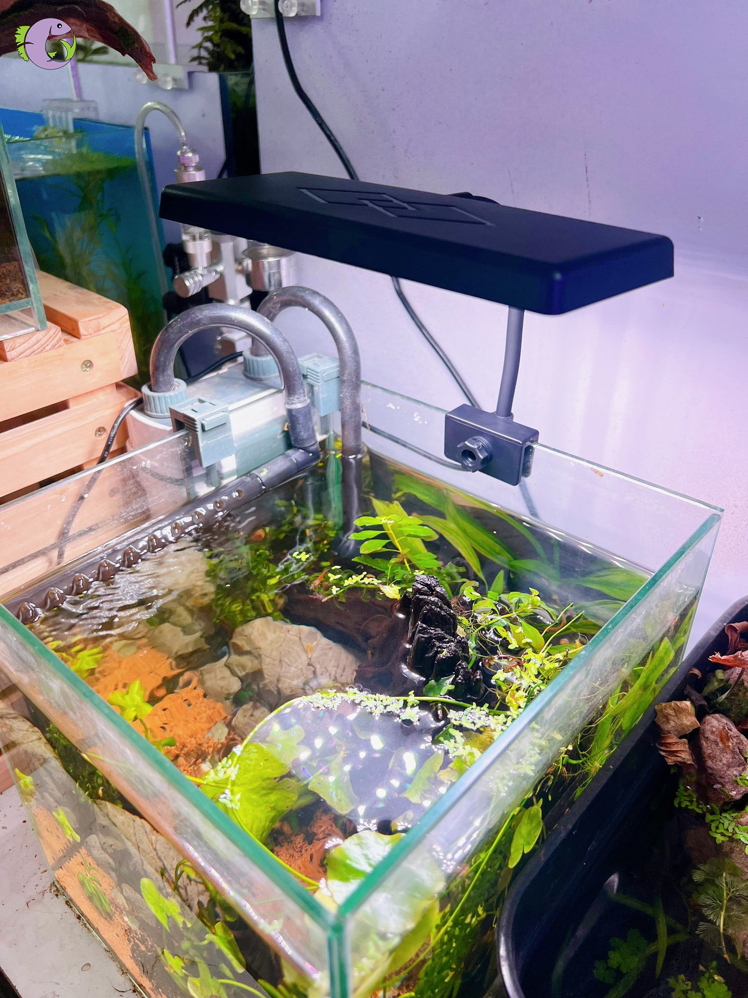 Đèn LED Kẹp T103Q - 1