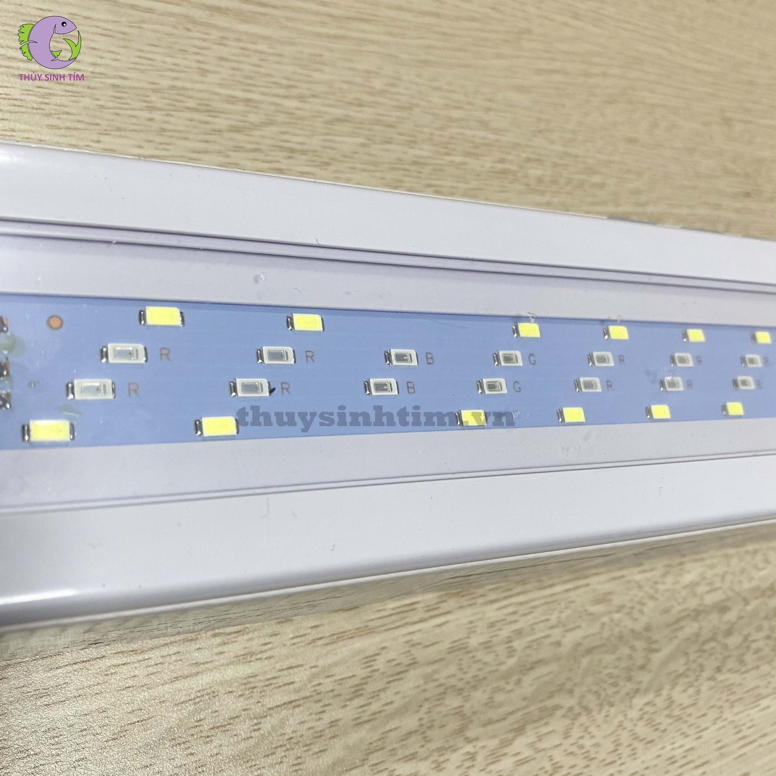 Đèn LED Roxin WRGB Series GX-A (3 Chế Độ Màu) - 4