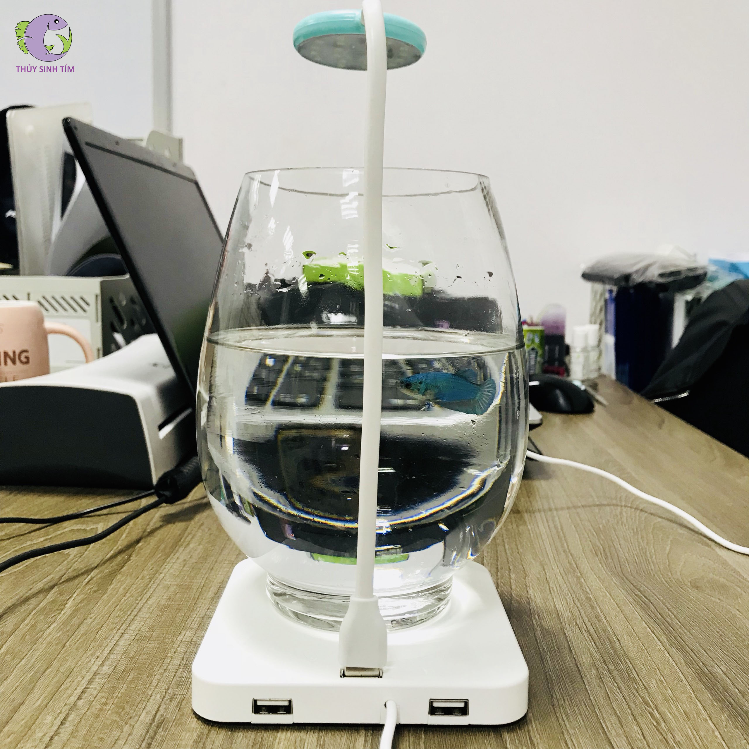 đèn led usb animsprite - 3