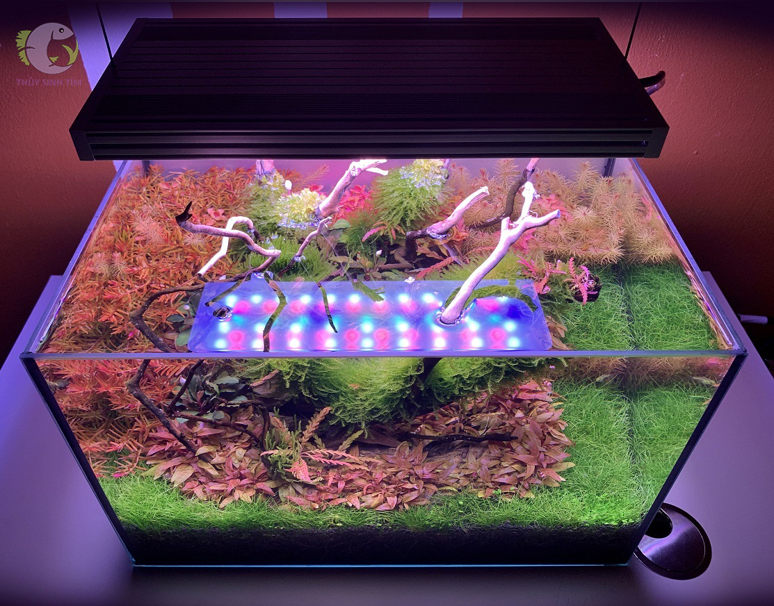 đèn led chihiros wrgb 120 - 8