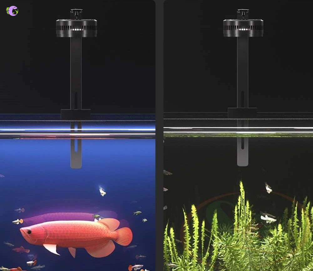 Đèn LED D.Light L1 Pro - RGB - 2