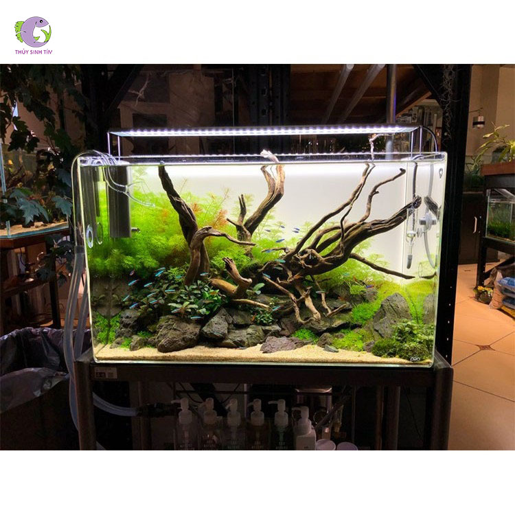 Đèn Odyssea SlimX 60-4