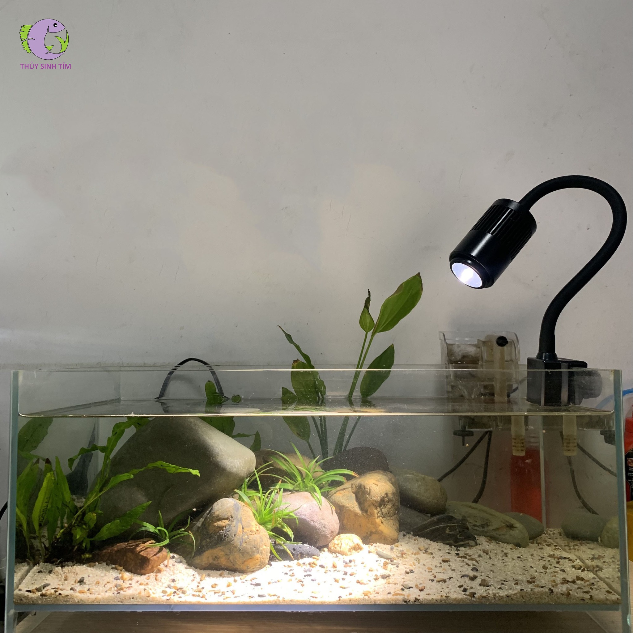 Đèn Rọi Điều Chỉnh Tiêu Cự - 3 Chế Độ Màu-2