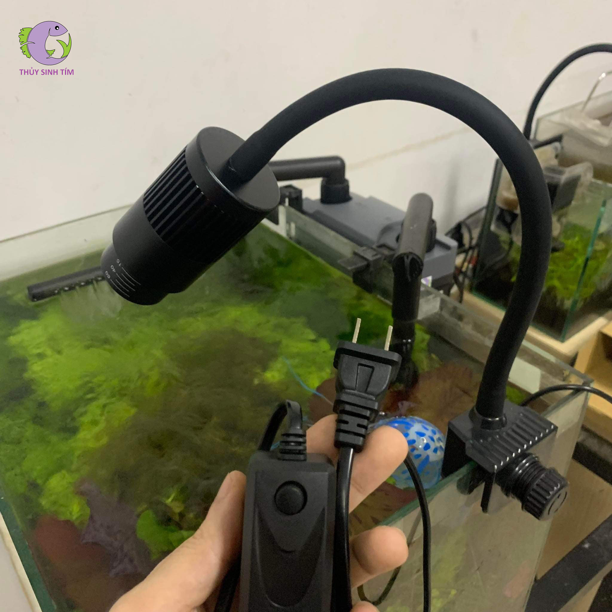 Đèn Rọi Điều Chỉnh Tiêu Cự - 3 Chế Độ Màu-1