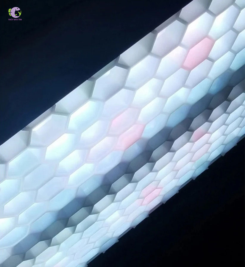 Đèn Thủy Sinh Cao Cấp Ledstar AQ-X 2023-4