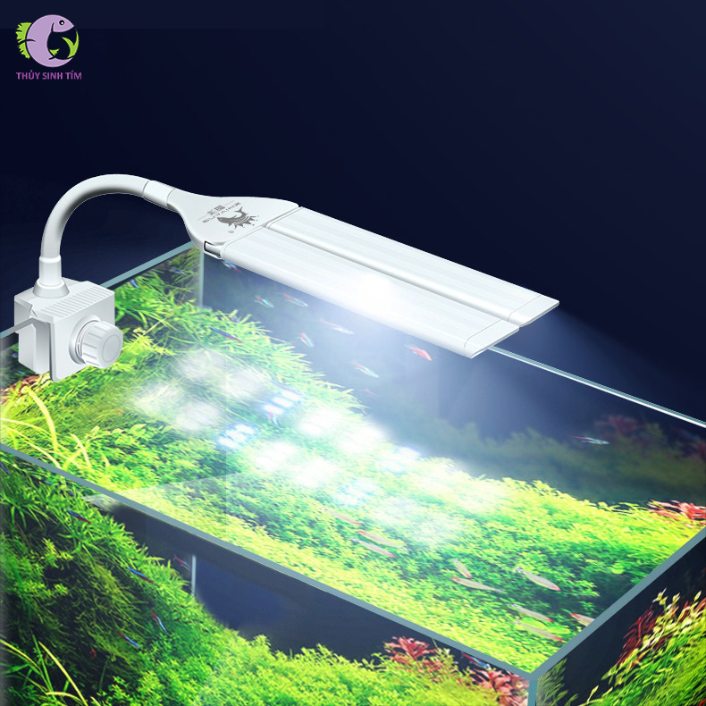 đèn thủy sinh zy-f4 - 1