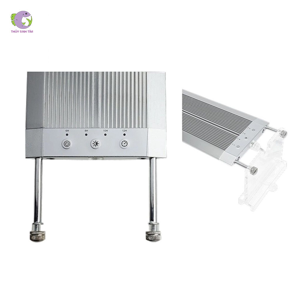 Đèn Week Raptor RGB D1200-1