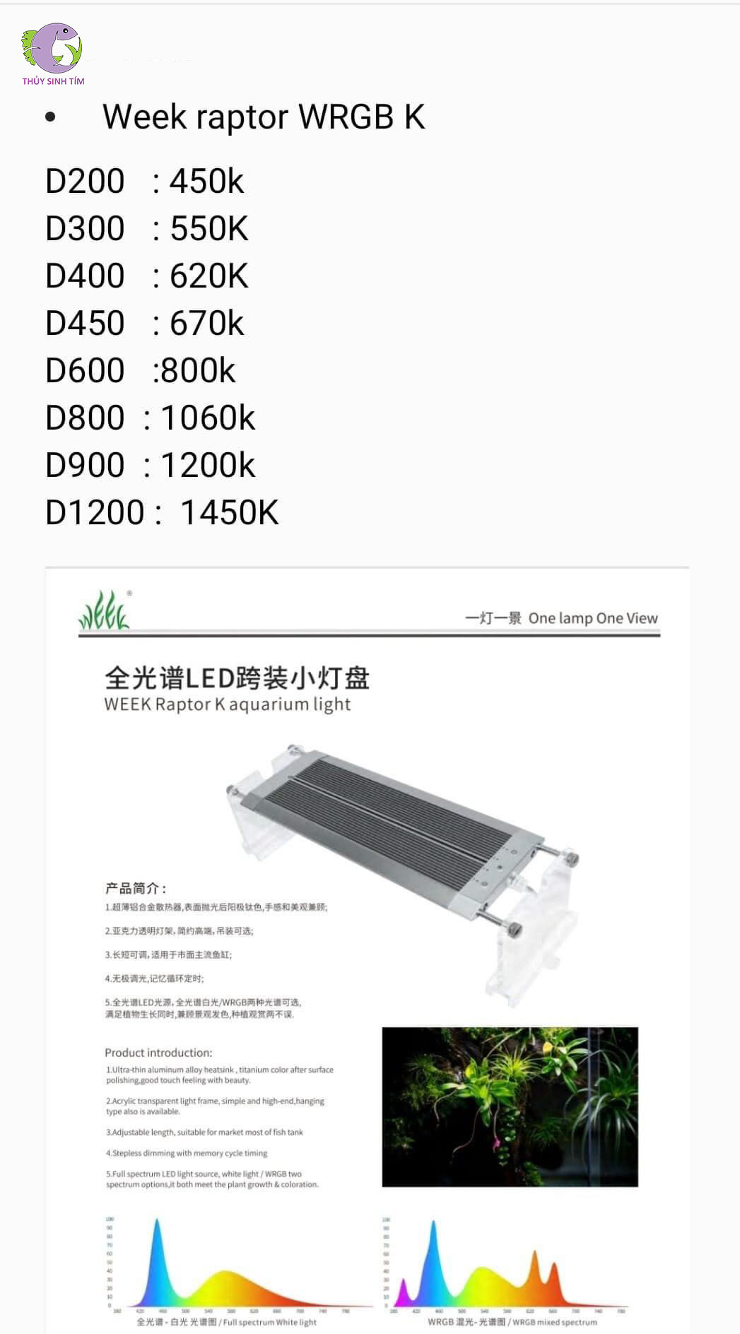 Đèn Week Raptor RGB D450-5