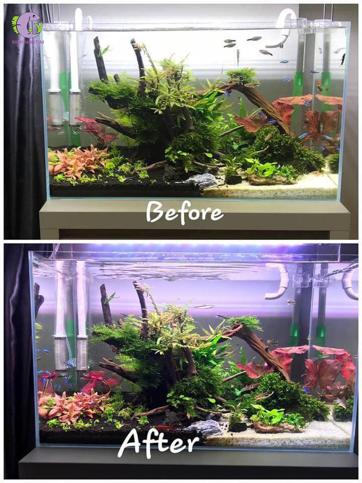 Đèn Week Raptor RGB D600-6