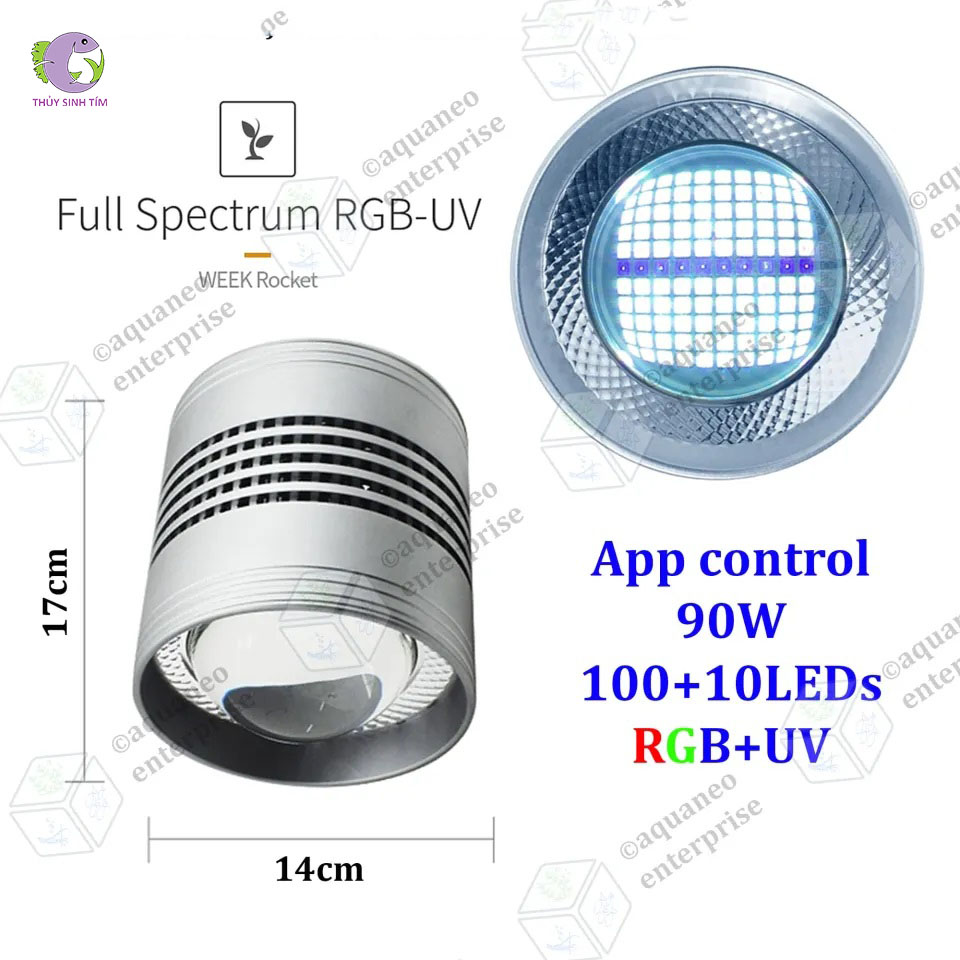 Đèn Week T90 Pro-5