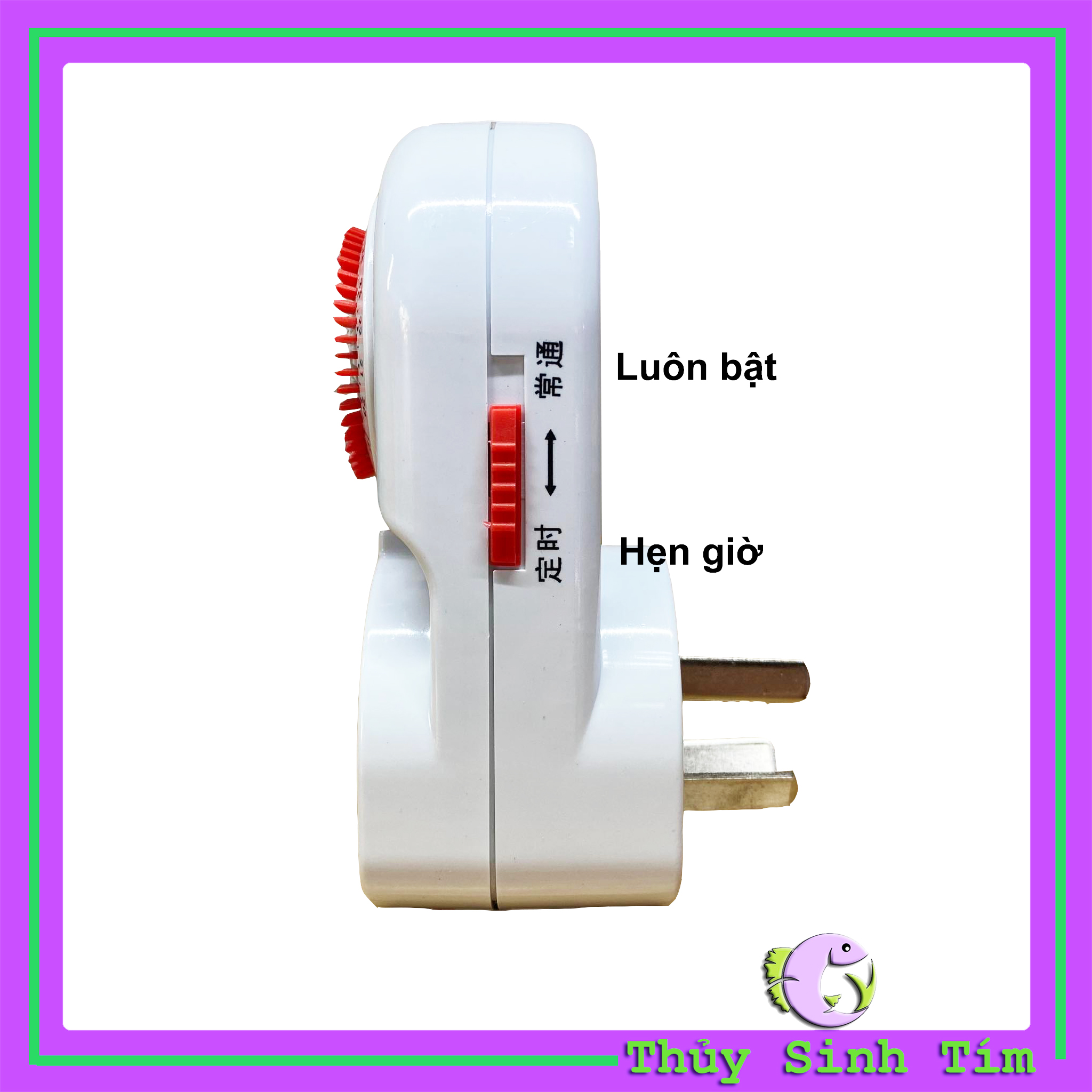 hẹn giờ cơ tw-260 - 2