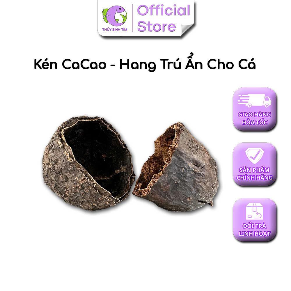 Kén Cacao Pod - 1