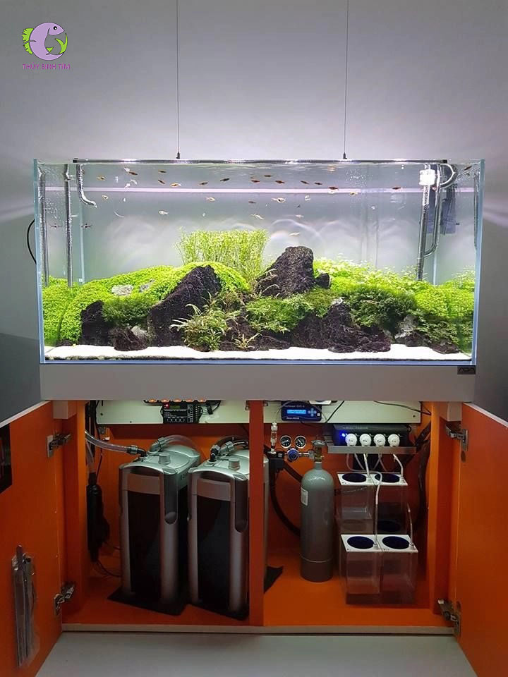 Lọc thùng Atman DF700-4