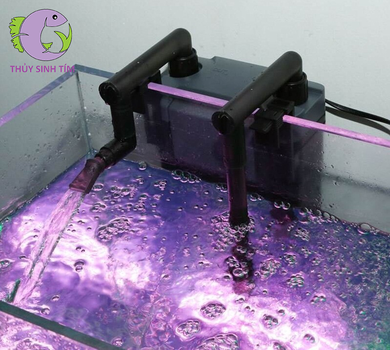 lọc treo sunsun hbl 6