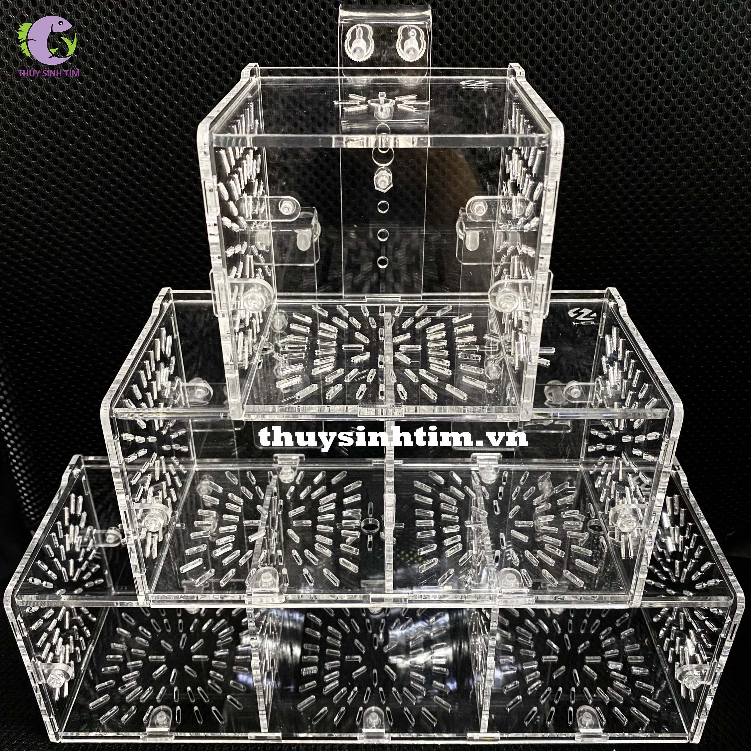 lồng dưỡng cá tép acrylic siêu trong - 1