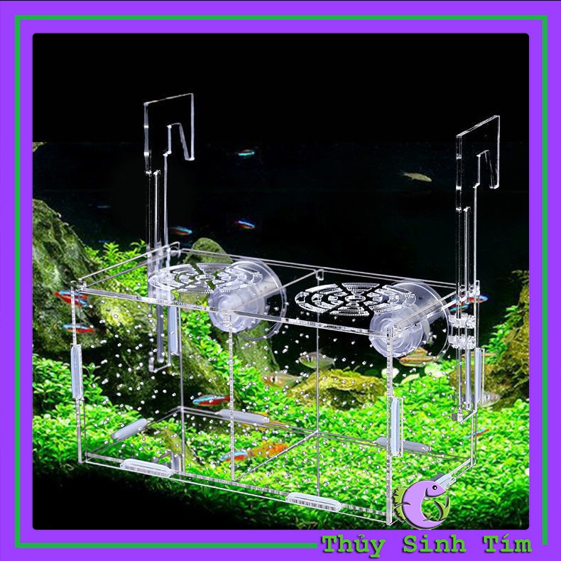 Lồng Dưỡng Cá Tép Mica-1