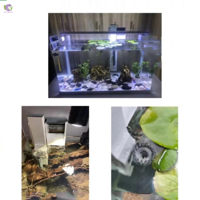 Máy Lọc Thác Sunsun XBA-2