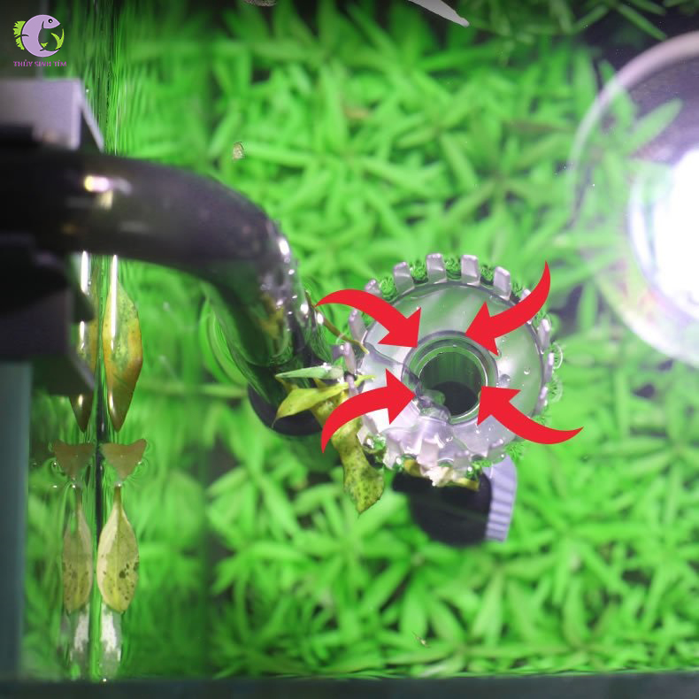 Máy Lọc Thùng Xiaoli Sunsun XWA - 6