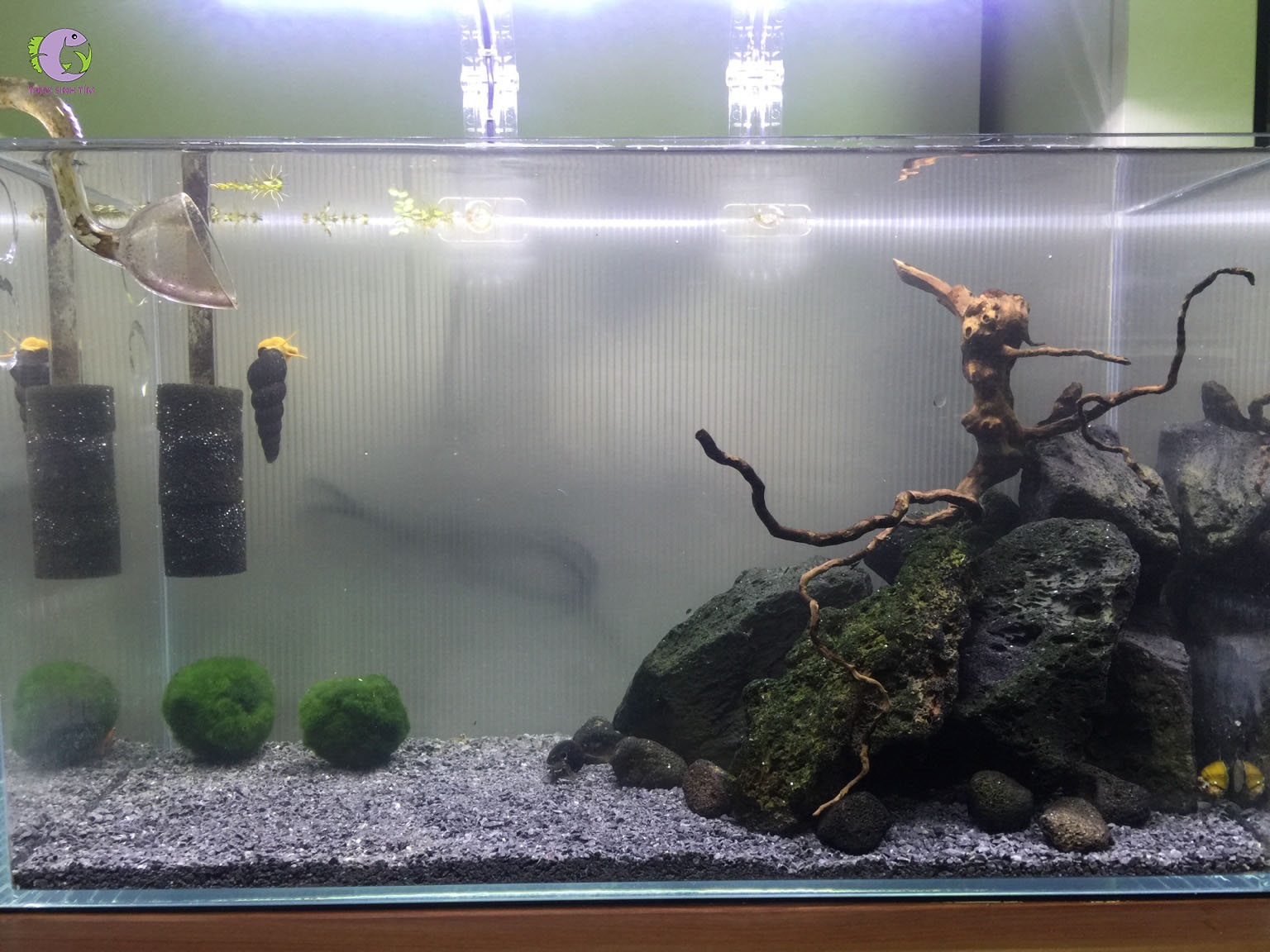 Nền Onyx Sand 7kg-2